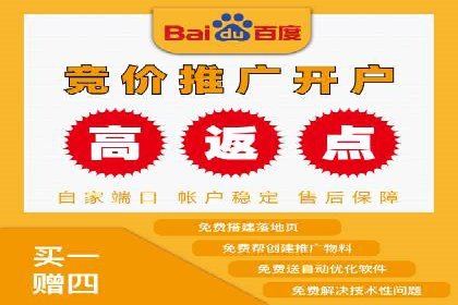 突破关键词竞价排名困境的案例解析